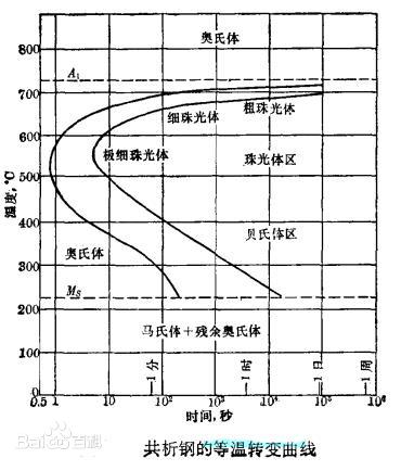 共析钢